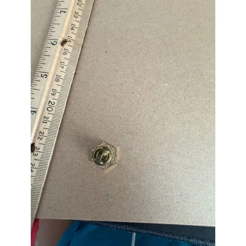 Vtg. S.T.A.T. science teachers association of texas lapel pin